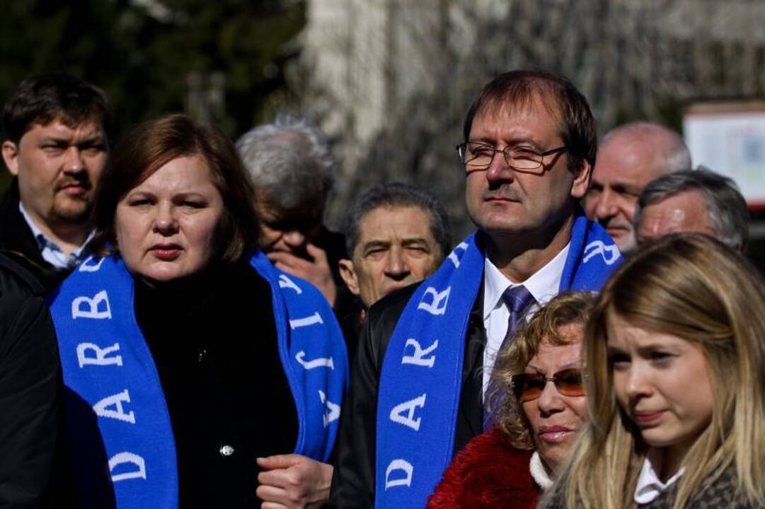 Darbo partija surengė prieš teismus nukreiptą mitingą (papildyta)
