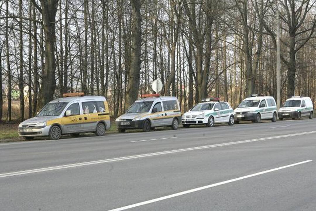 Policija: kol kas nežinome, kas nudyrė šunims kailius