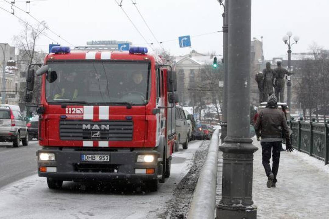 Prie sostinės Žaliojo tilto narai nerado nei skenduolio, nei gyvūnų (papildyta)
