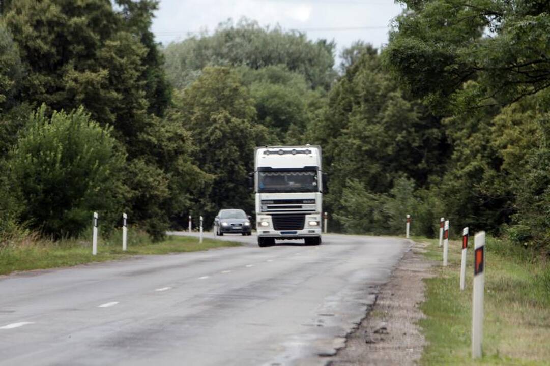 Susidūrimas su automobiliu briedei kainavo gyvybę