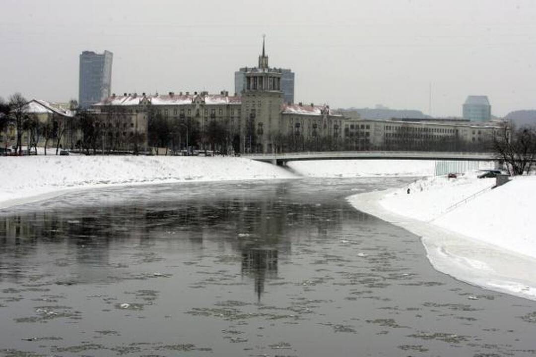 Prie sostinės Žaliojo tilto narai nerado nei skenduolio, nei gyvūnų (papildyta)