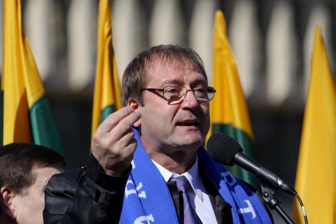 Darbo partija surengė prieš teismus nukreiptą mitingą (papildyta)