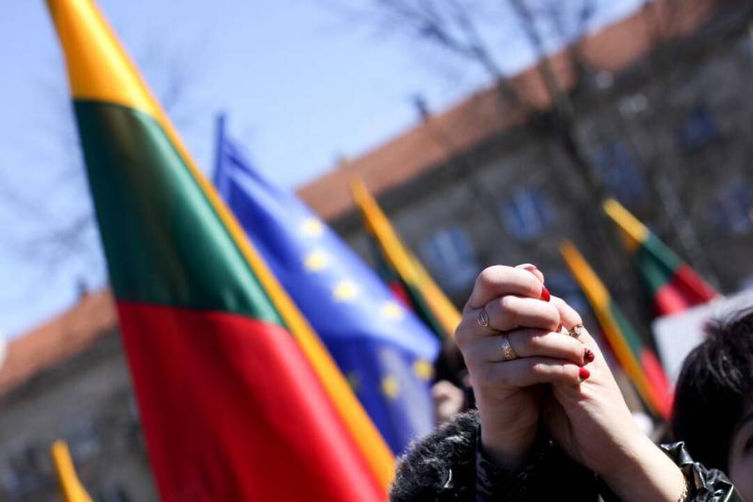 Darbo partija surengė prieš teismus nukreiptą mitingą (papildyta)
