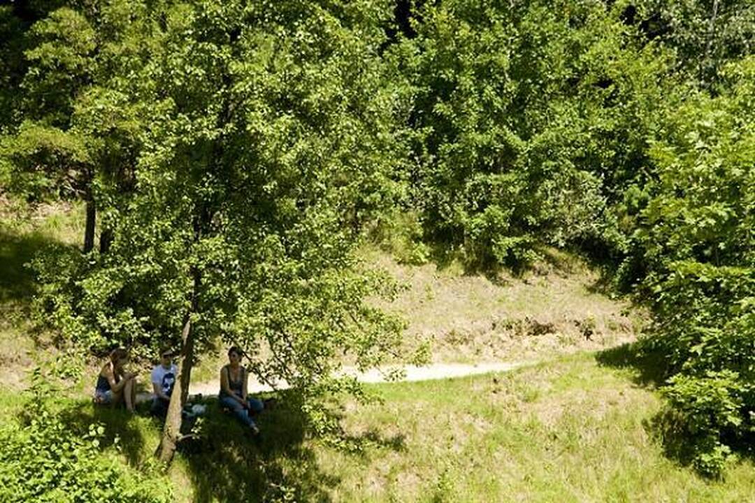 Kaitra labiausiai veikia senyvo amžiaus žmones ir vaikus