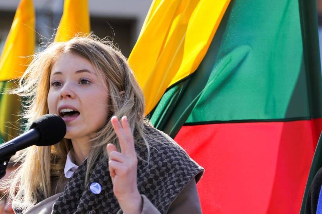 Darbo partija surengė prieš teismus nukreiptą mitingą (papildyta)