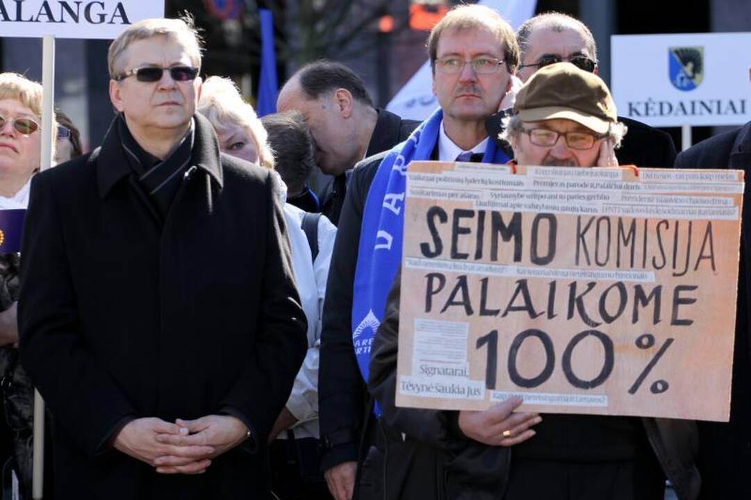 Darbo partija surengė prieš teismus nukreiptą mitingą (papildyta)
