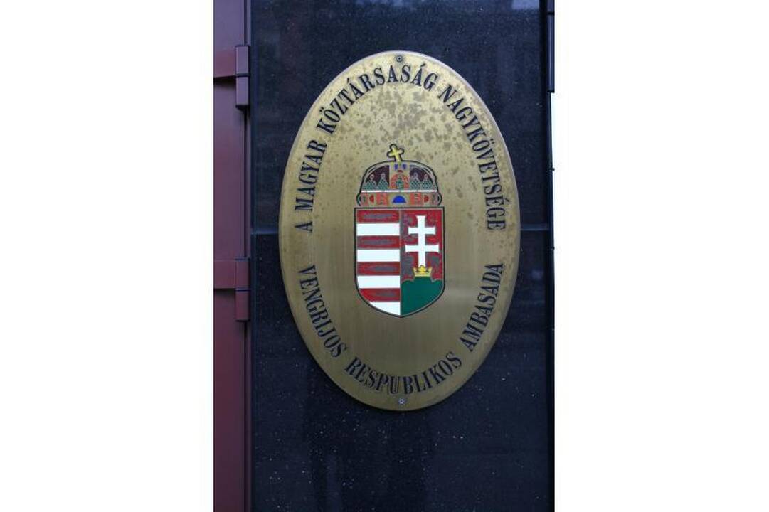 Per šimtą žmonių susirinko į lenkų organizacijų mitingą prie Vengrijos ambasados