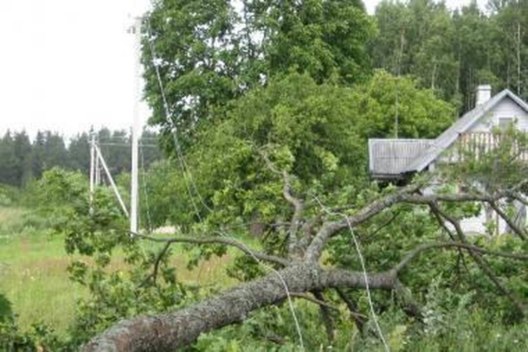 RST dėl audros patyrė per 1 mln. litų nuostolių