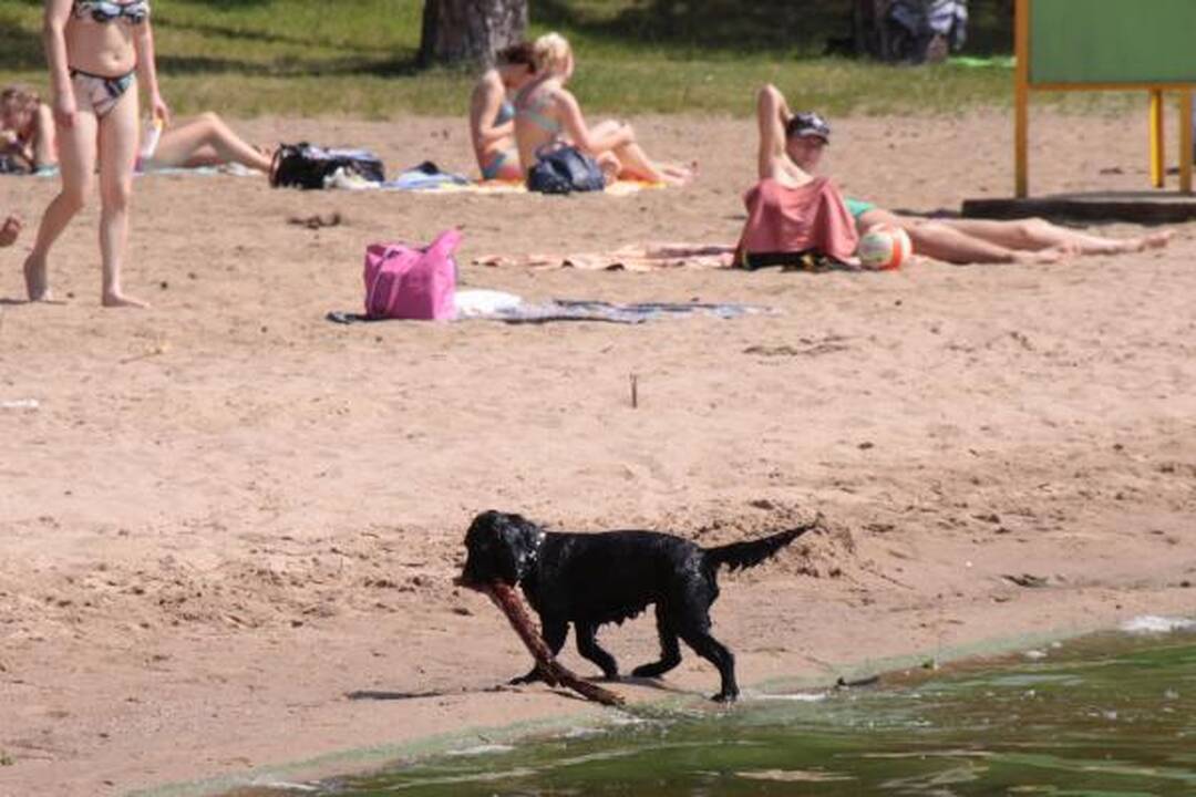 Kauno paplūdimiai: poilsiautojų netrūksta nuo aušros iki sutemos