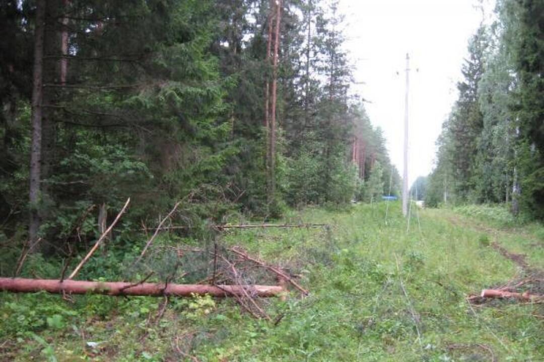 RST dėl audros patyrė per 1 mln. litų nuostolių