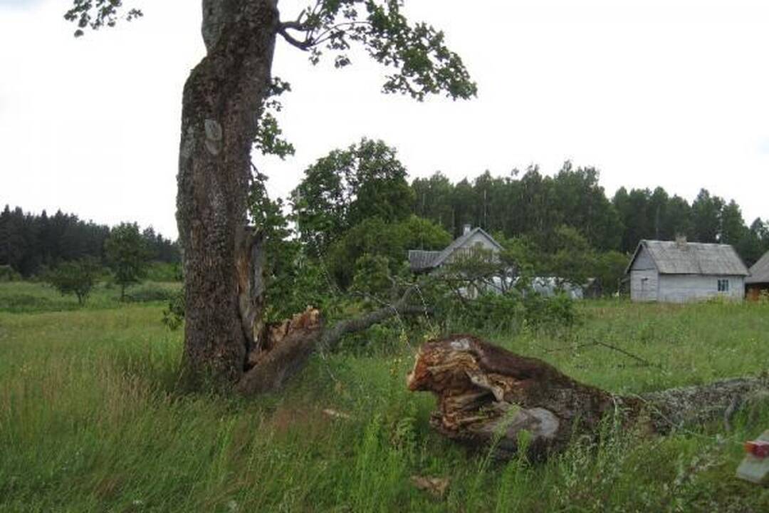 RST dėl audros patyrė per 1 mln. litų nuostolių