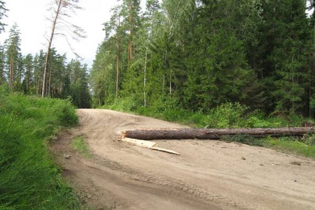 RST dėl audros patyrė per 1 mln. litų nuostolių