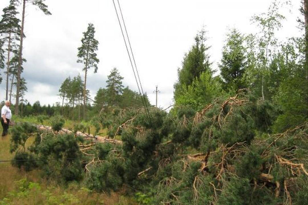 RST dėl audros patyrė per 1 mln. litų nuostolių