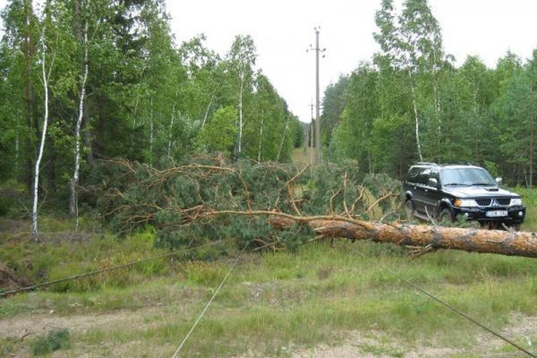 RST dėl audros patyrė per 1 mln. litų nuostolių