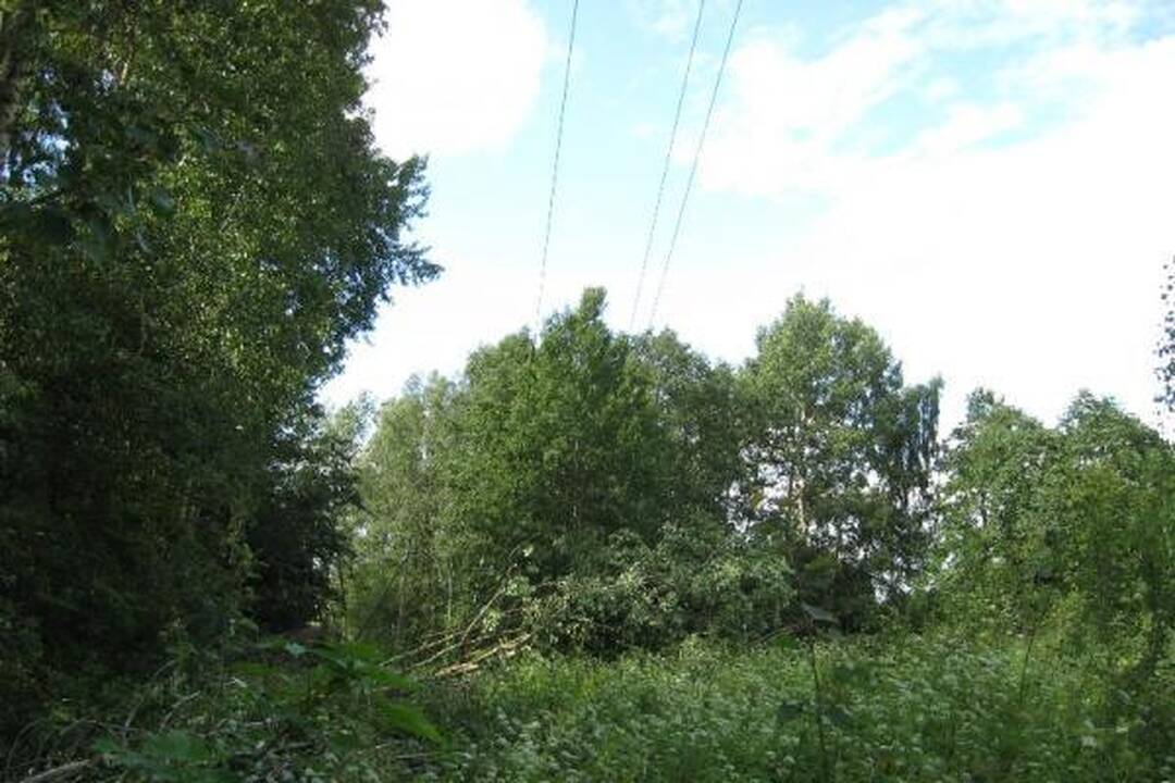 RST dėl audros patyrė per 1 mln. litų nuostolių