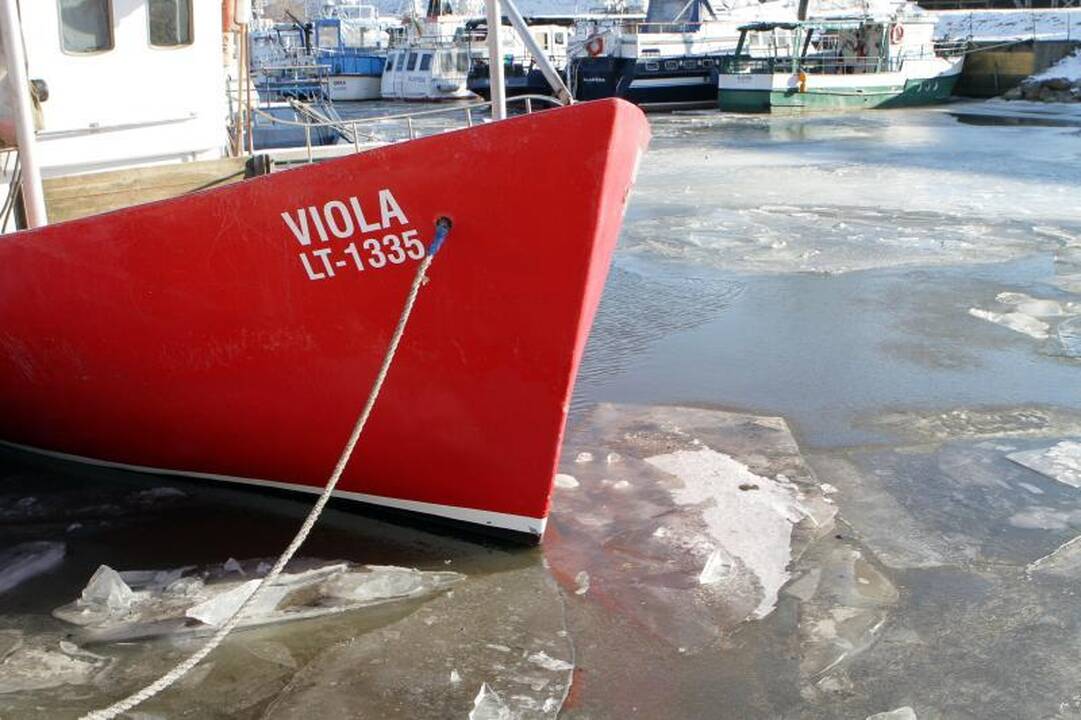 Kelią mariomis žvejai nužymėjo šakomis   