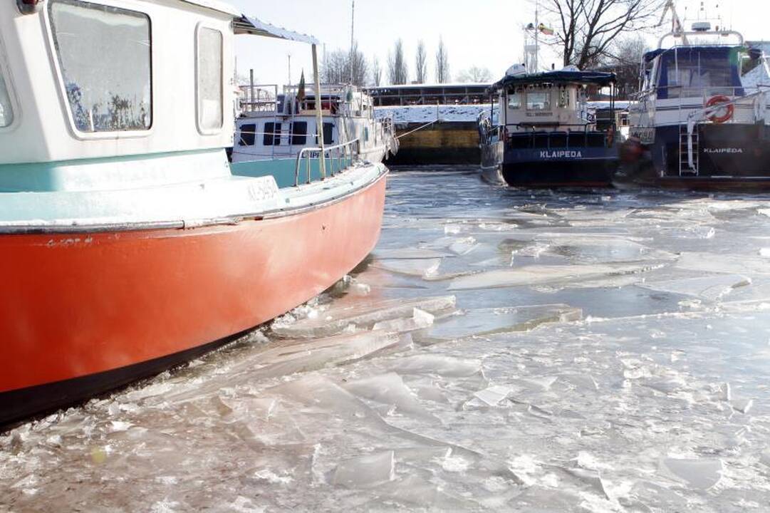 Kelią mariomis žvejai nužymėjo šakomis   