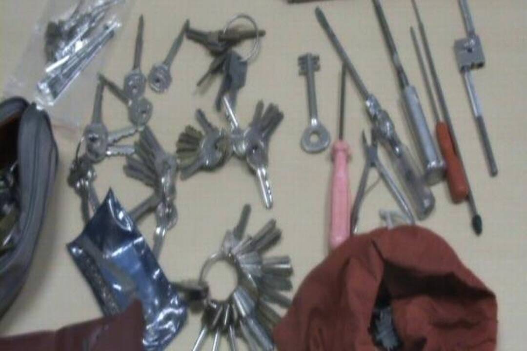 Vilnietis įtariamas šiemet apvogęs penkis butus ir namą