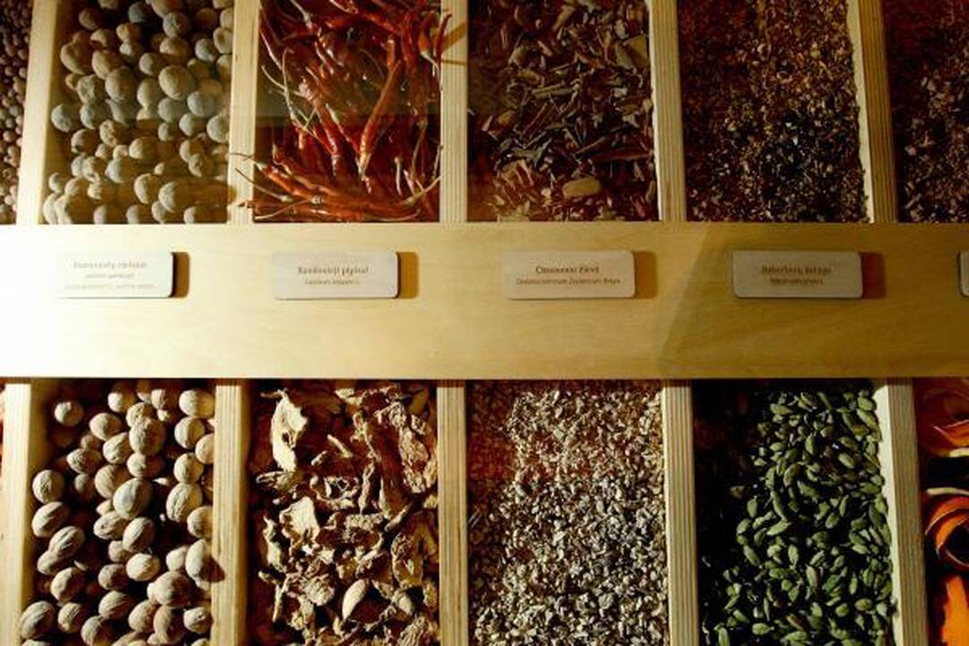 „Stumbro“ muziejuje - nuo bravoro iki produkcijos