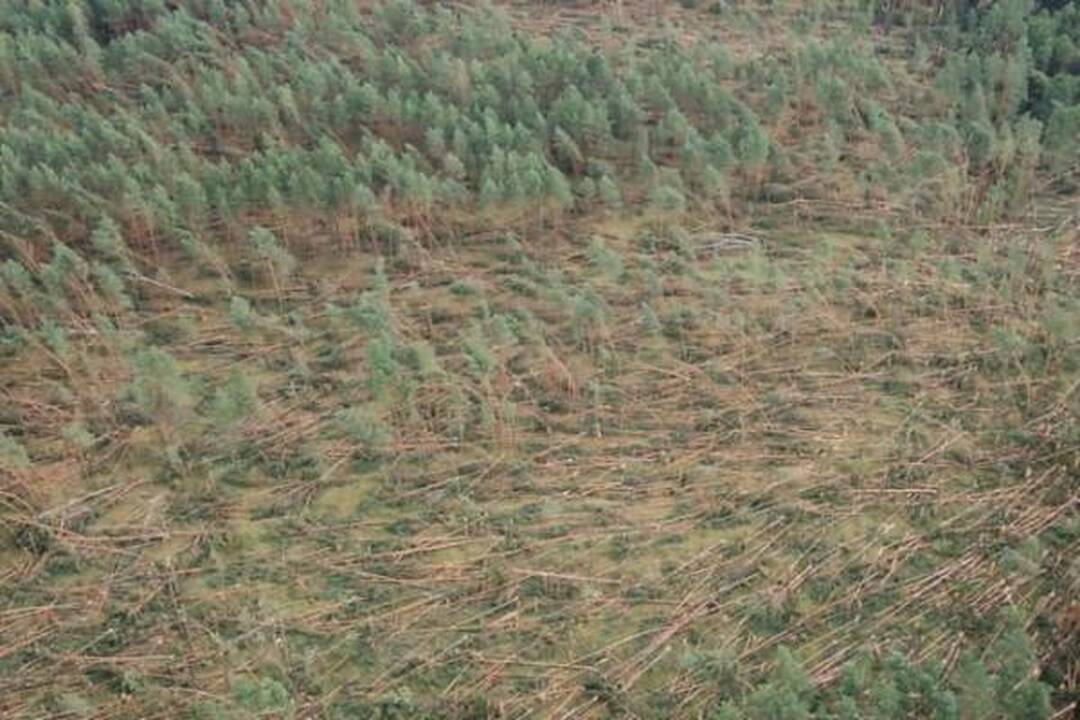 Nuostoliai dėl audros – daugiau kaip 20 milijonų litų (papildyta 14.40 val.)
