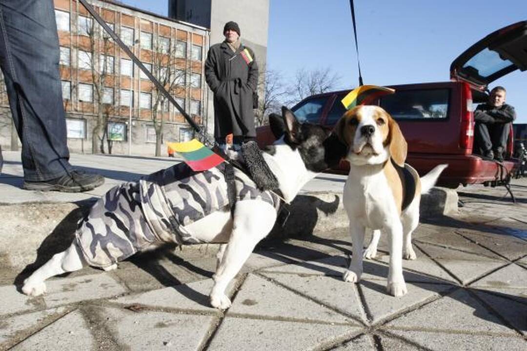Klaipėdiečiai statė "Laisvės žiburį" 