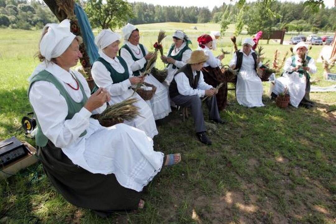 Giesmė Vilniaus verbai
