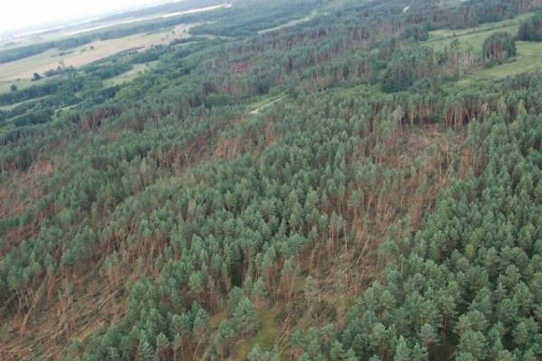 Nuostoliai dėl audros – daugiau kaip 20 milijonų litų (papildyta 14.40 val.)