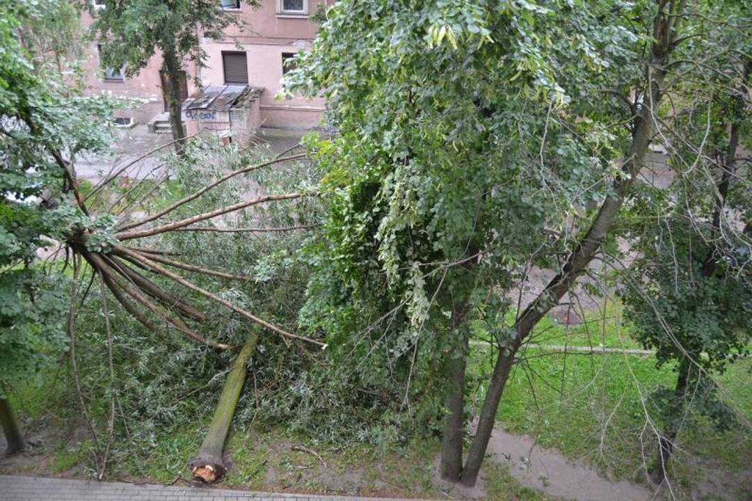 Penkias minutes trukęs škvalas nusiaubė Lietuvos pajūrį 