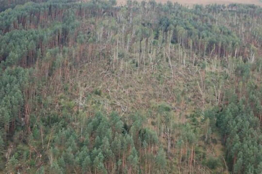 Nuostoliai dėl audros – daugiau kaip 20 milijonų litų (papildyta 14.40 val.)