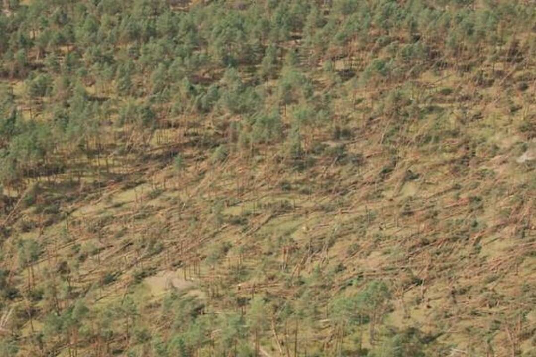 Nuostoliai dėl audros – daugiau kaip 20 milijonų litų (papildyta 14.40 val.)