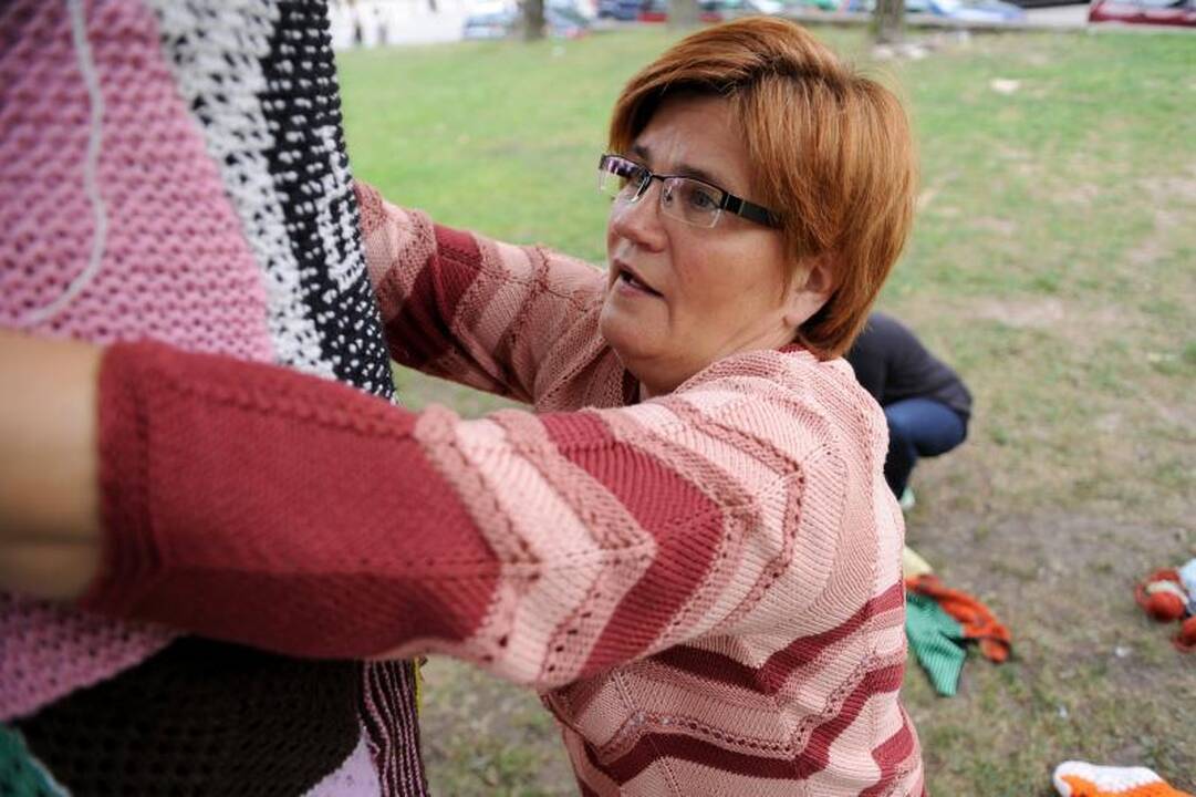 Priešais šv.Onos bažnyčią - neįprasta medžių puošimo akcija