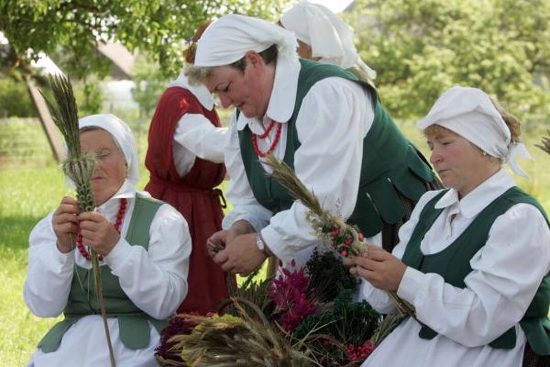 Giesmė Vilniaus verbai