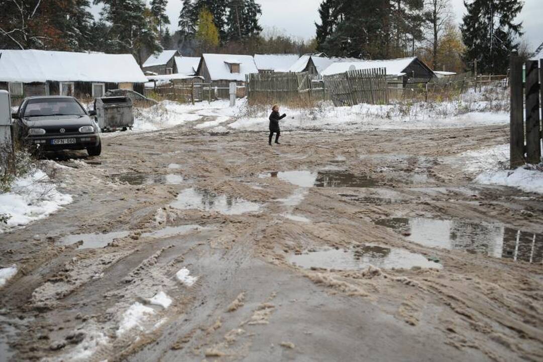 Čigonų taboro gyventojai boikotavo rinkimus