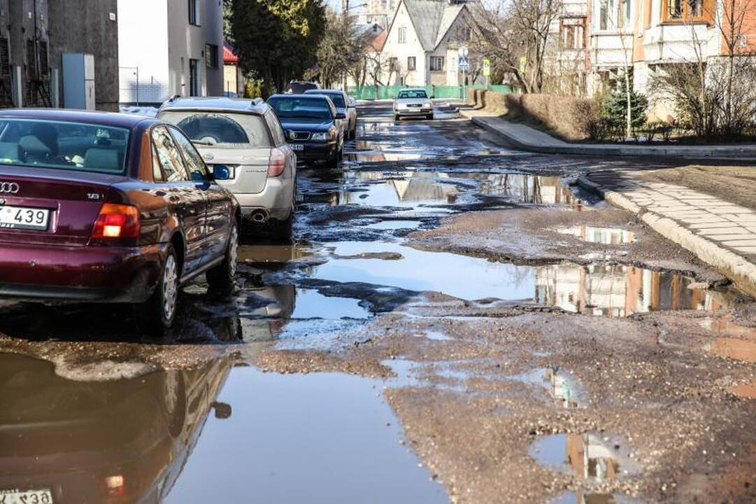 Kauno gatvių duobėse sodins ne tik gėles, bet ir bulves