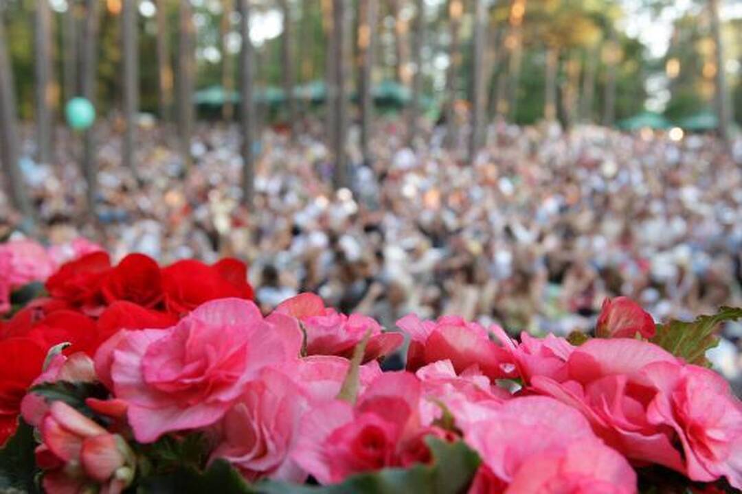 Į „Akacijų alėją“ – žeme, vandeniu ir oru