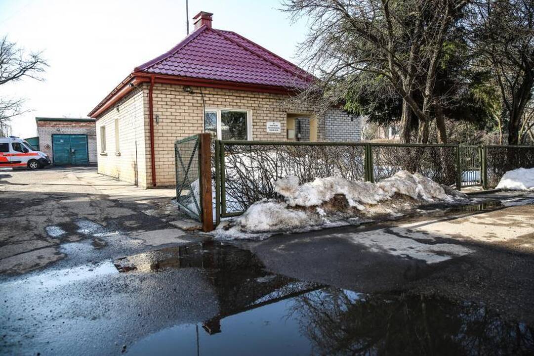 Kauno gatvių duobėse sodins ne tik gėles, bet ir bulves