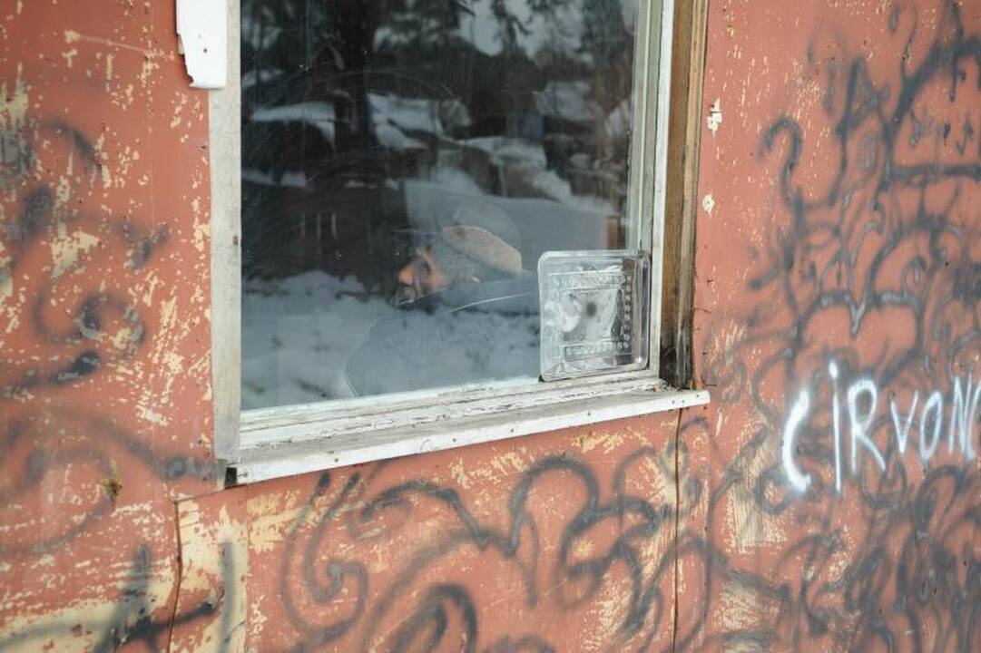 Čigonų taboro gyventojai boikotavo rinkimus