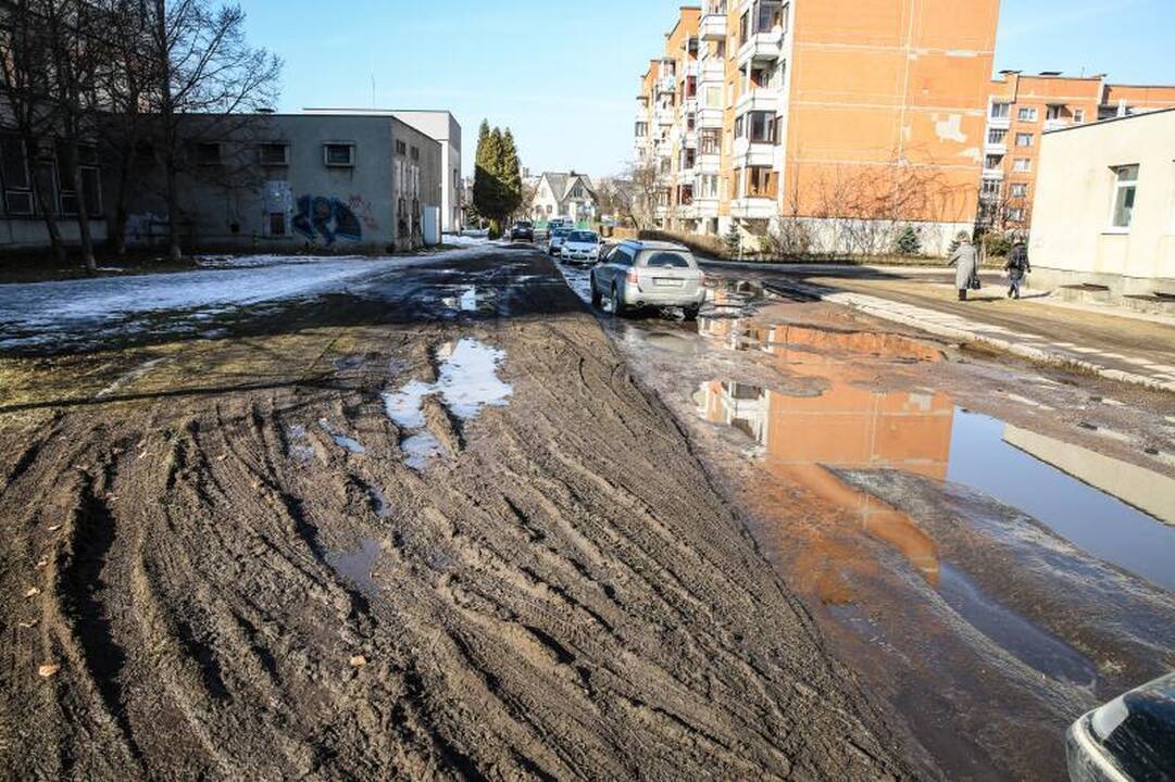 Kauno gatvių duobėse sodins ne tik gėles, bet ir bulves