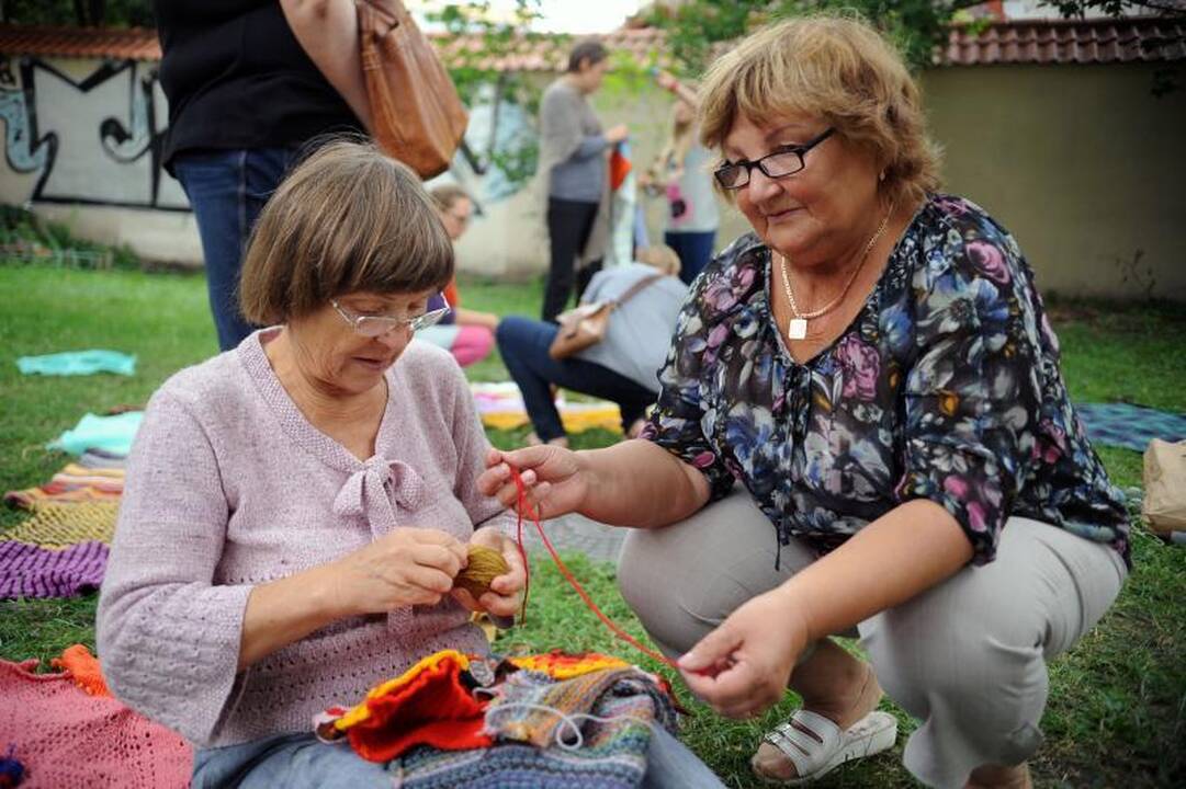 Priešais šv.Onos bažnyčią - neįprasta medžių puošimo akcija