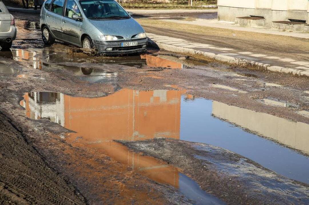 Kauno gatvių duobėse sodins ne tik gėles, bet ir bulves