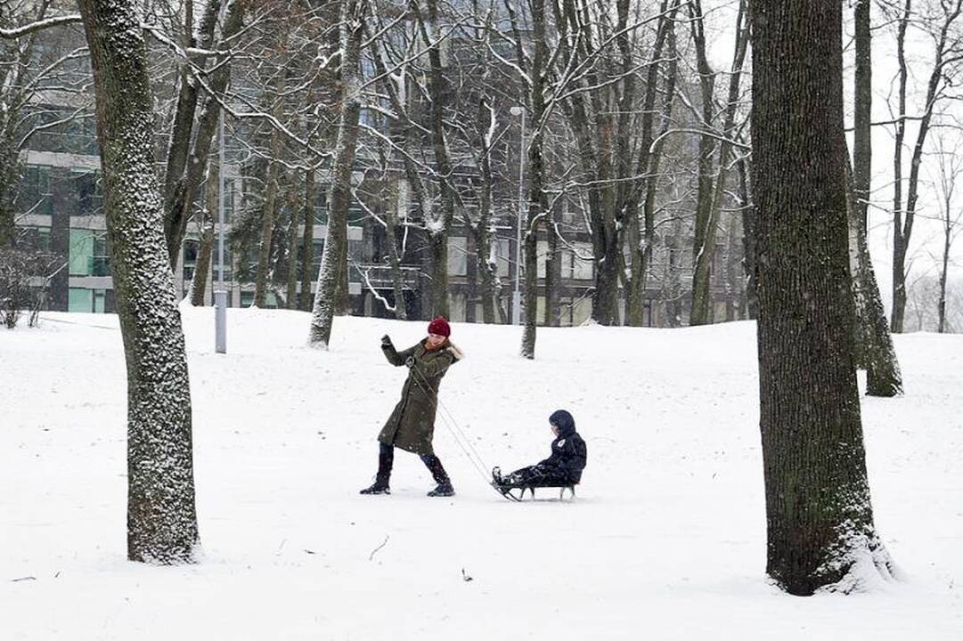 Šią savaitę sulauksime šalčiausios žiemos dienos
