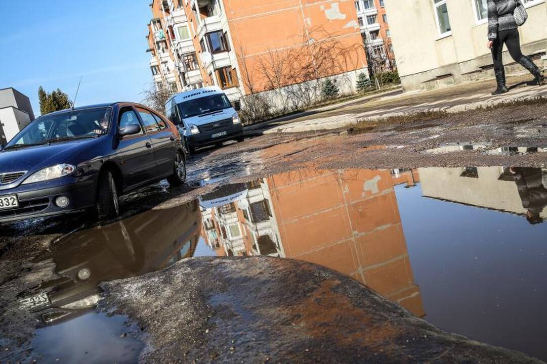 Kauno gatvių duobėse sodins ne tik gėles, bet ir bulves