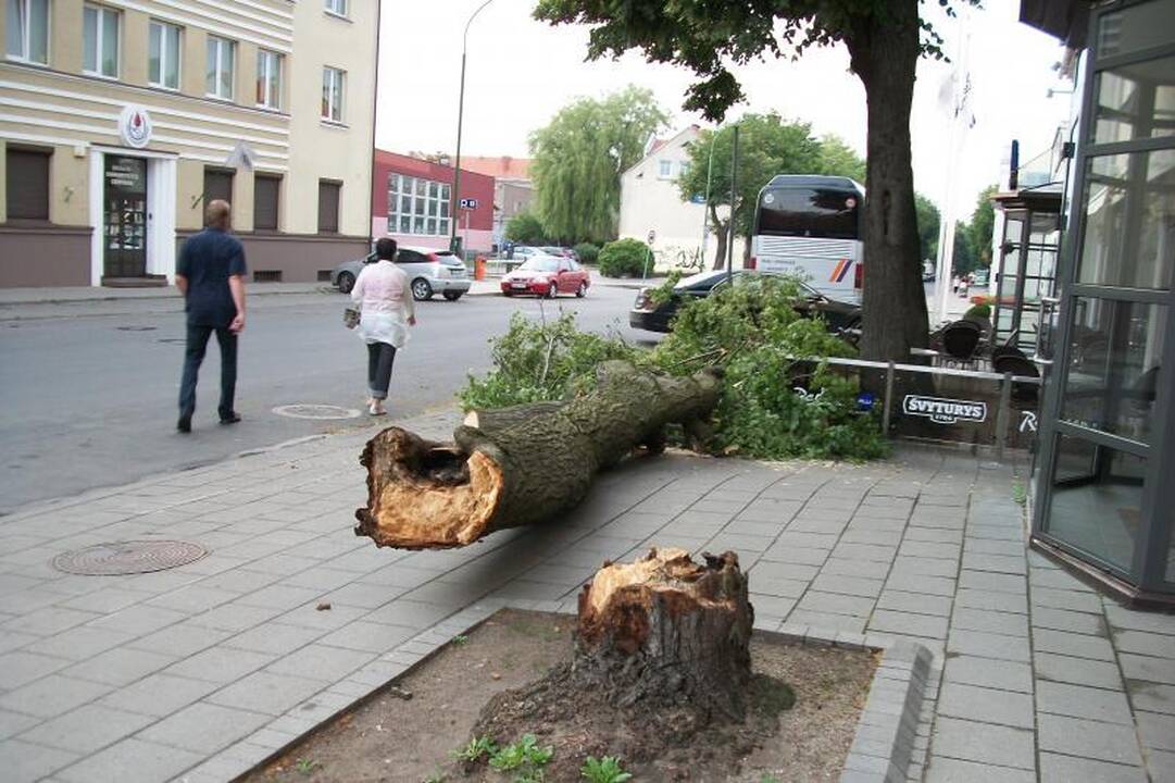 Kauno senamiestis sugriaudėjo jaunatviška energija