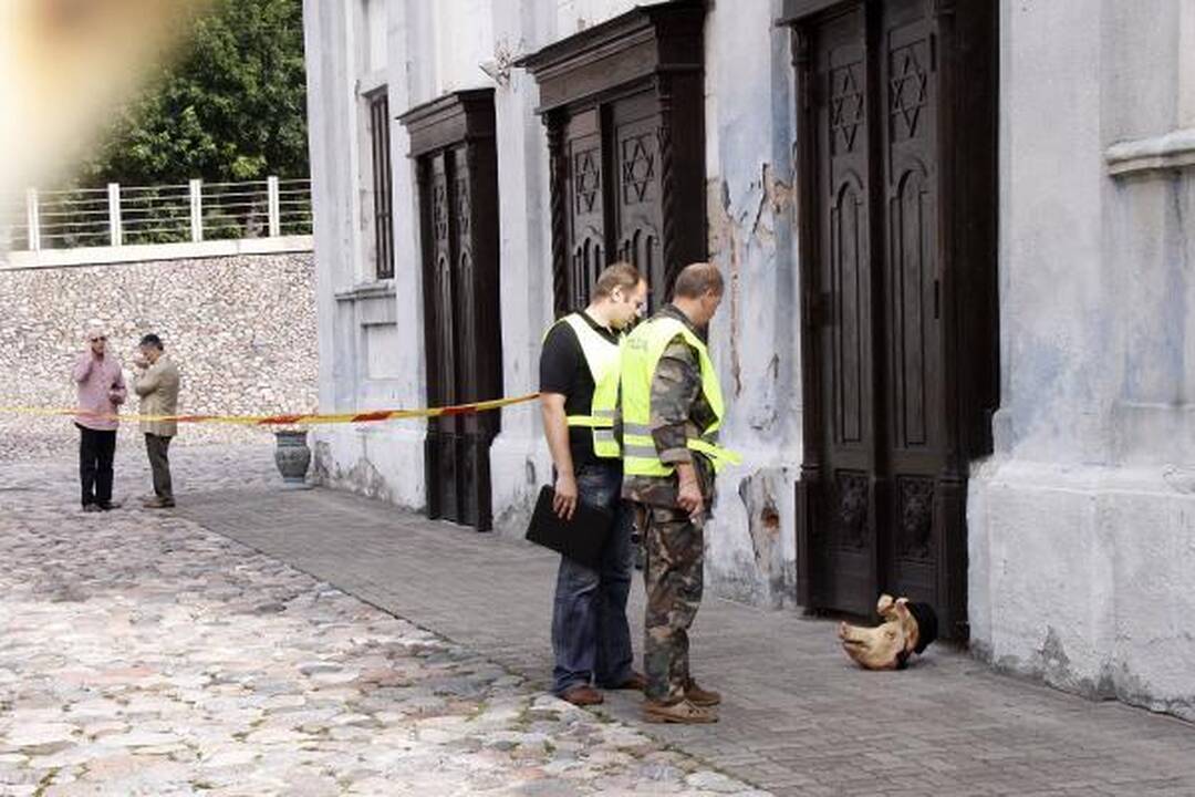 Prie Kauno sinagogos numesta kiaulės galva