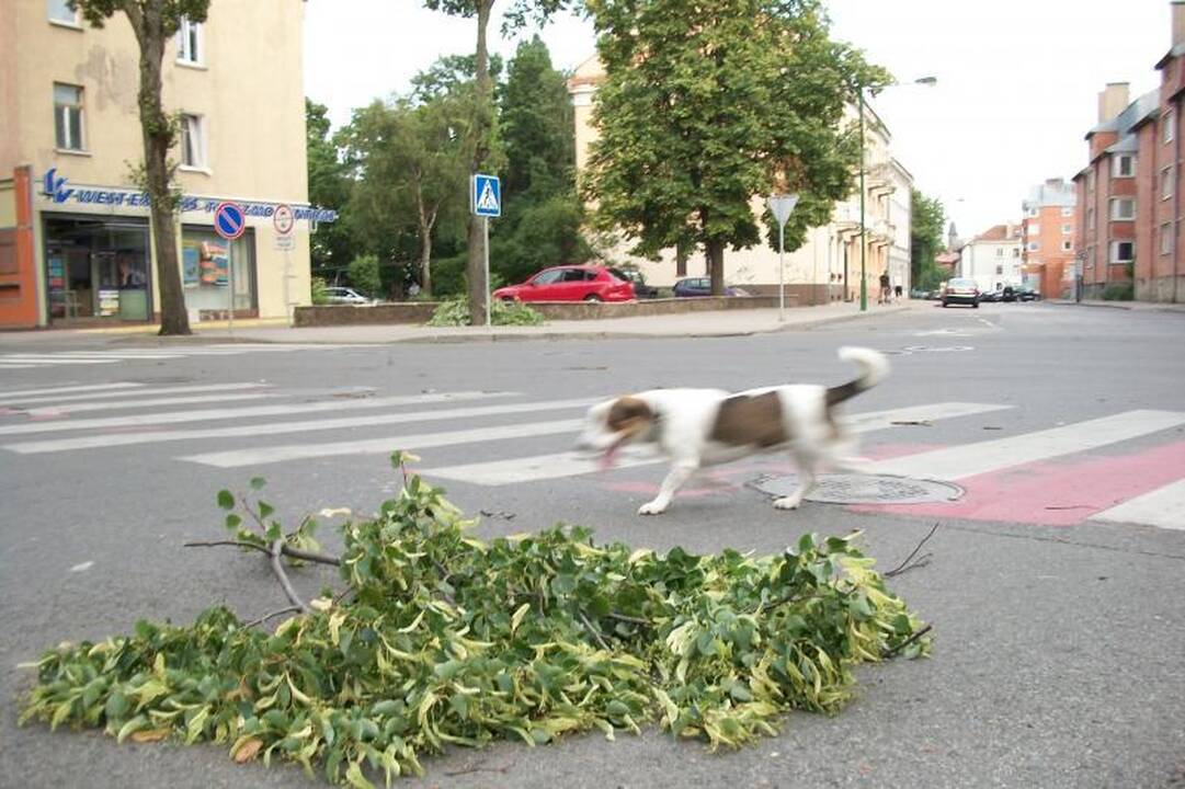 Penkias minutes trukęs škvalas nusiaubė Lietuvos pajūrį 