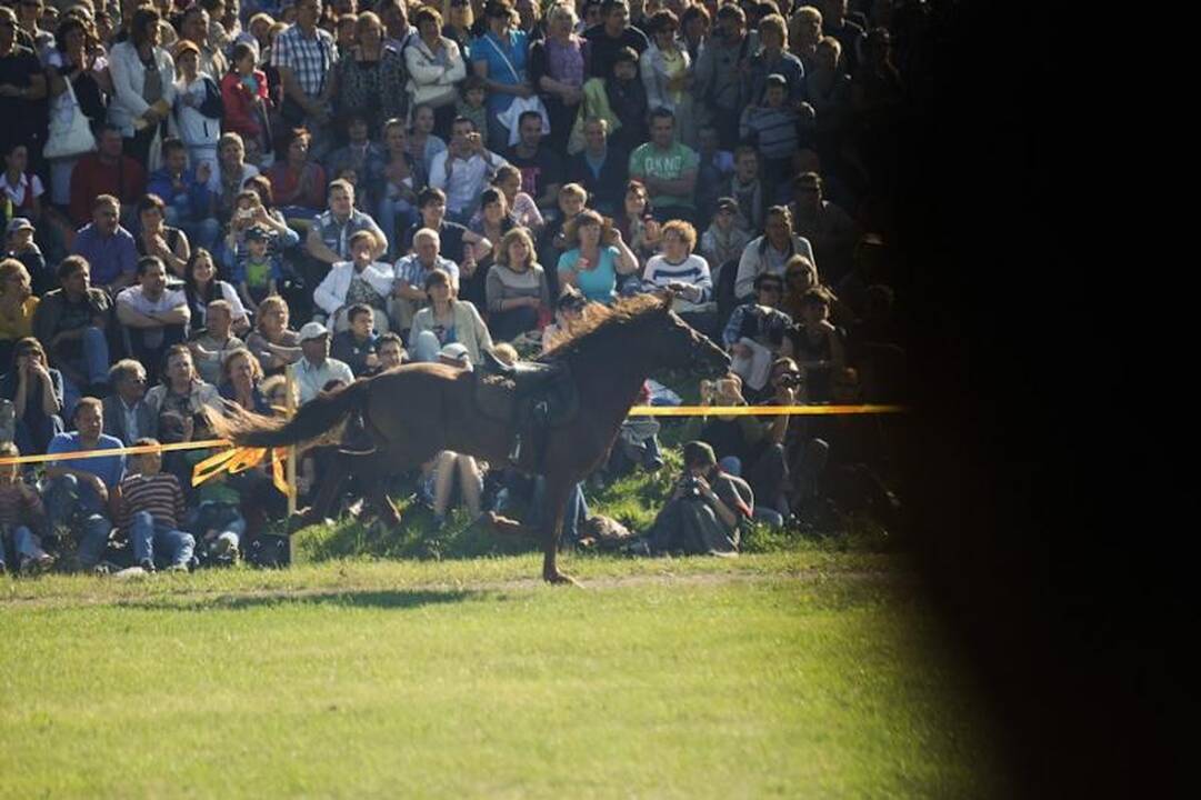 Istorinis žygis atkartotas: Napoleono kariuomenė persikėlė per Nemuną