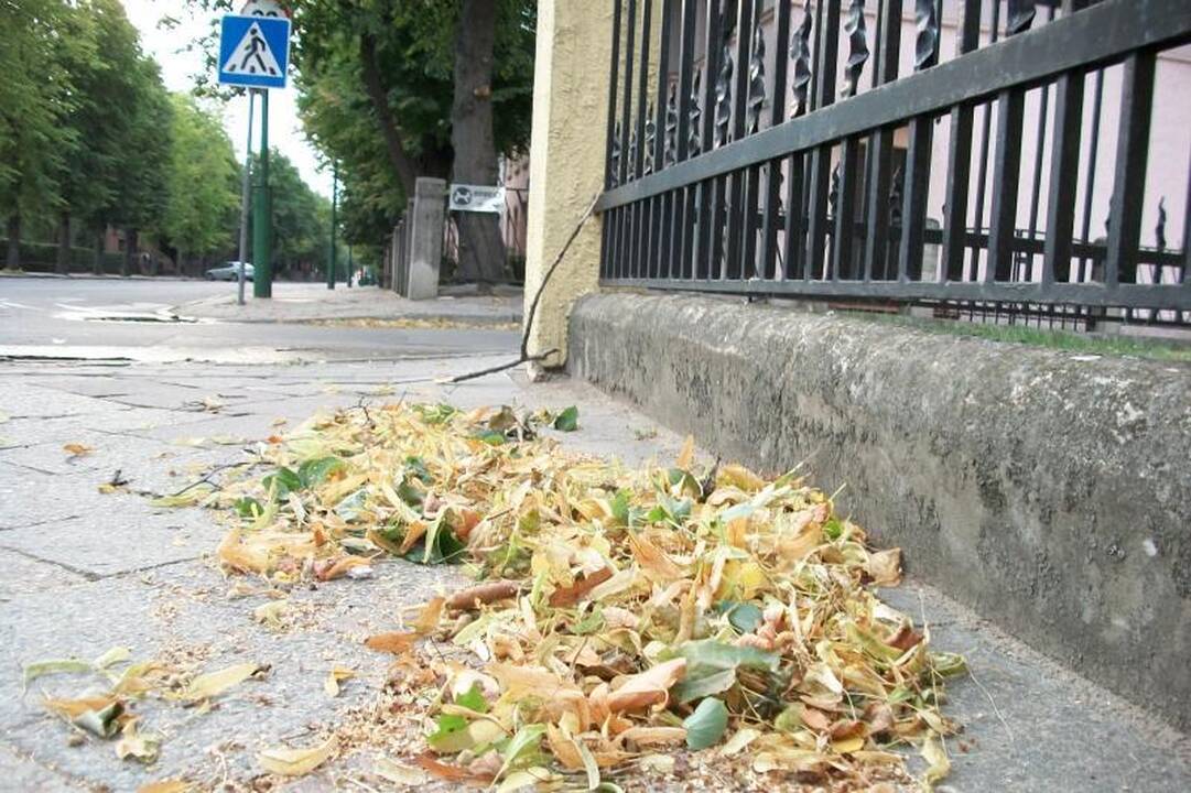 Penkias minutes trukęs škvalas nusiaubė Lietuvos pajūrį 