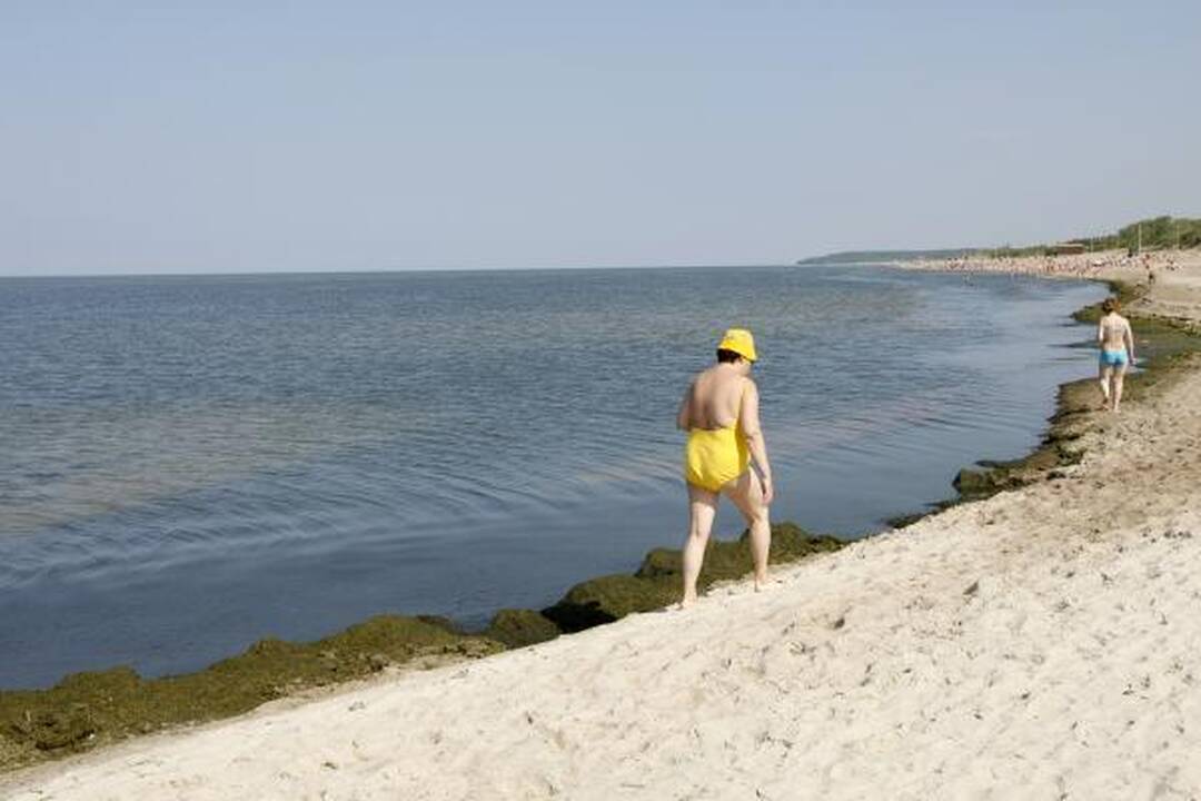 Baltijos jūrą teršiantys dumbliai išnyko