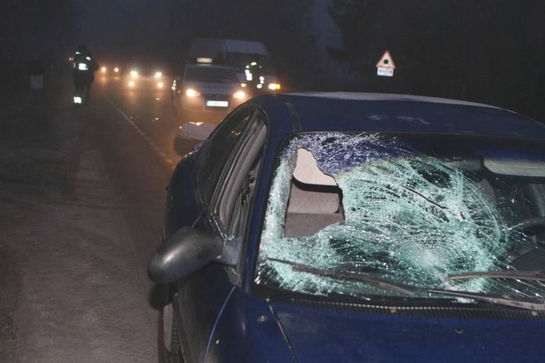 Mirtinai partrenktos pėsčiosios sugyventinis išvežtas į policiją