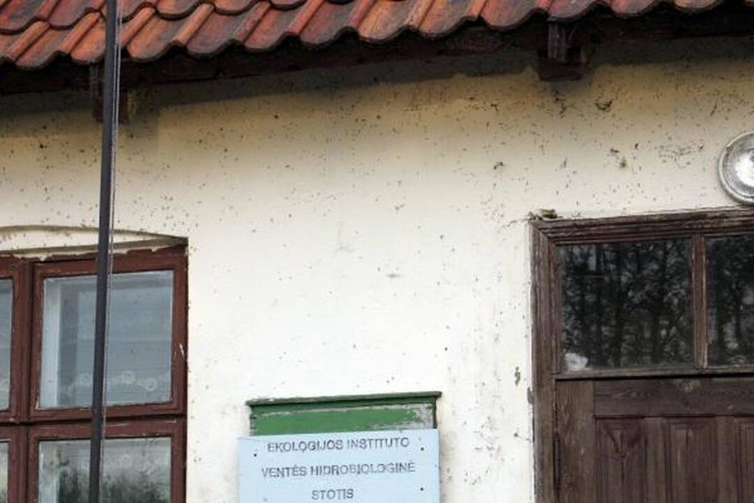 Kuršių marių pakrantėse - uodų trūklių apgultis